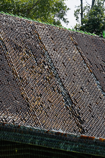 Wat Pa Maha Chedi Kaew-045